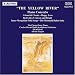Power of the Piano and the orchestra: best piano concertos