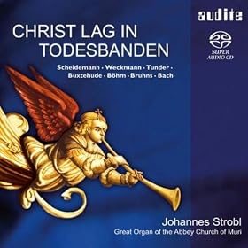 "Christ lag in Todesbanden": 3. Versus