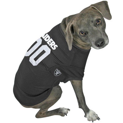 Oakland Raiders #00 Black Dog Jersey (Small)