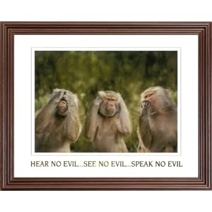 Monkey See Monkey Do Kids Room Animal Wildlife Picture Framed Art Print