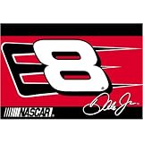 DALE EARNHARDT JR. NASCAR TEAM TUFTED RUG BY NORTHWEST (20"x30")