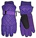 N'Ice Caps Kids Unisex Thinsulate and Waterproof Quilted Ski Gloves