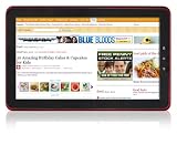 Sungale ID1010WTA Cyberus Android 10.1-Inch Tablet Computer