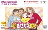 『新きせかえ物語 Best Collection』の写真