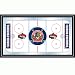 NHL Florida Panthers Framed Hockey Rink Mirror - 15Lx26W