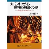 �m��ꂴ�錴���픘�J���\����N�̎���ǂ��� (��g�u�b�N���b�g (No.390))���c �S�K�ɂ��