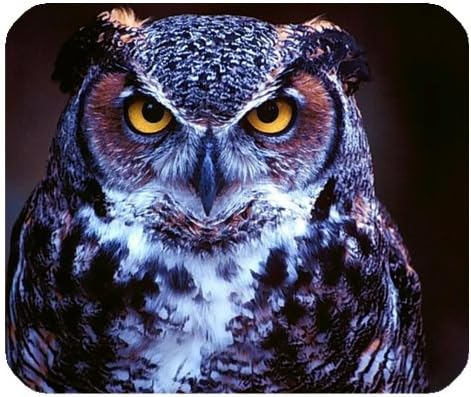 Custom Animal Owl High Quality Printing Rectangle Mouse Pad Design Your Own Computer Mousepad