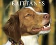 Just Brittanys 2010 Wall Calendar