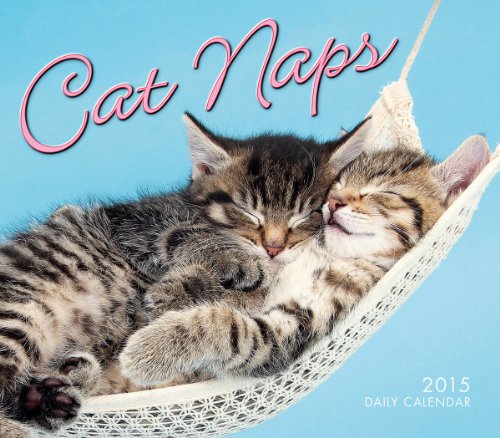 Cat naps 2015 boxed calendar