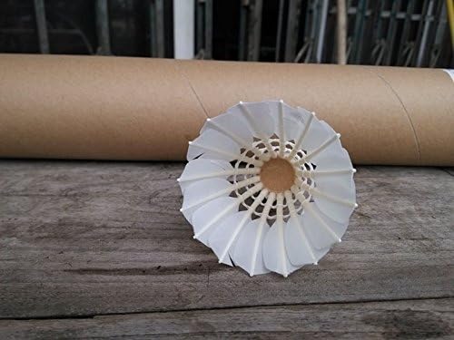 Abcyee 12 Pieces Professional White Goose Feather Shuttlecocks Badminton Ball Game(dozen)
