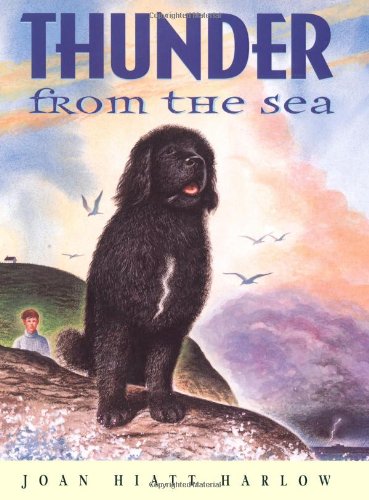 Thunder from the Sea