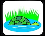 Mouse Pad with australia, reptile, turtle, swamp, outback
