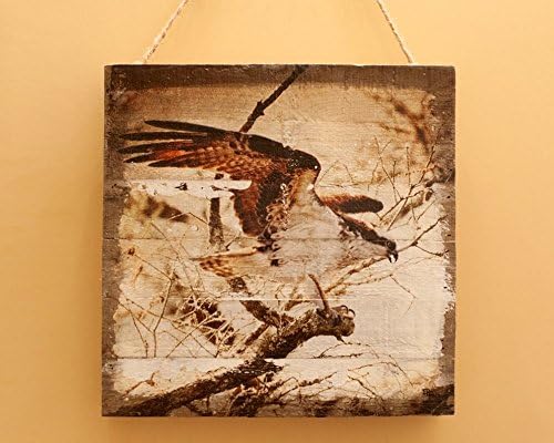 Taking Flight: Photo Transfer Art on Wood 12x12 - Spring Clearance!