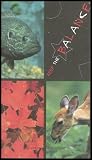 Keep the Balance: Offers a Fun Look At Why We Manage Our Fish, Forests and Wildlife [Grades 4-8]