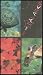 Keep the Balance: Offers a Fun Look At Why We Manage Our Fish, Forests and Wildlife [...