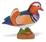 Safari: Mandarin Duck