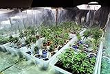 How to Grow Marijuana