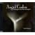 Angel Codes
