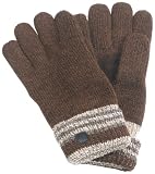 Isotoner Men's Isotoner Variegated Stripe Glove