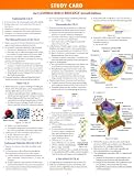 Study Card for Campbell-Reece Biology Seventh Edition