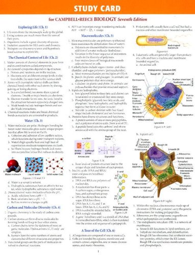 Study Card for Campbell-Reece Biology Seventh Edition