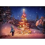 Avanti Christmas Cards, Holiday Magic, 10 Count