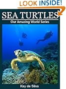 Sea Turtles