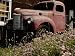 Crown Vetch Flowers, a Barn, and a Vintage Truck Add Local Color Photographic Poster Print by Stephen St. John, 24x32