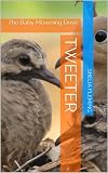 Tweeter: The Baby Mourning Dove
