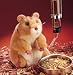 FOLKMANIS INC. PUPPET HAMSTER