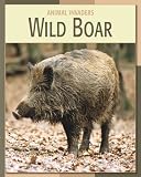 Wild Boar (Animal Invaders)