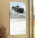 American Armed Forces Wall Calendar (2017)