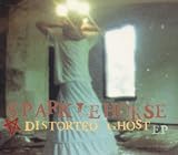 Distorted Ghost