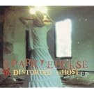 Distorted Ghost