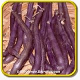 1 Lb Green Bean Seeds - 'Royal Burgundy' Bulk Vegetable Seeds