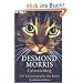 Catwatching: Die K�rpersprache der Katzen