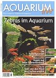 Produkt-Bild: Aquarium Live