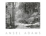 Tenaya Creek by Ansel Adams - 24 x 30 inches - Fine Art Print / Poster