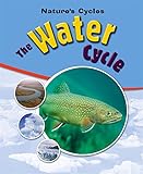 The water cycle