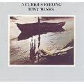 A Curious Feeling (Lyrics included with album)
