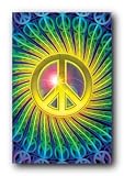 Inspirational Peace Sign Poster College Poster Print, 24x36