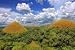 Panorama of the Bohol Chocolate Hills Natural Landmark,. - 24"W x 16"H - Peel and Stick Wall Decal by Wallmonkeys