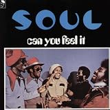 Can You Feel It [12 inch Analog]