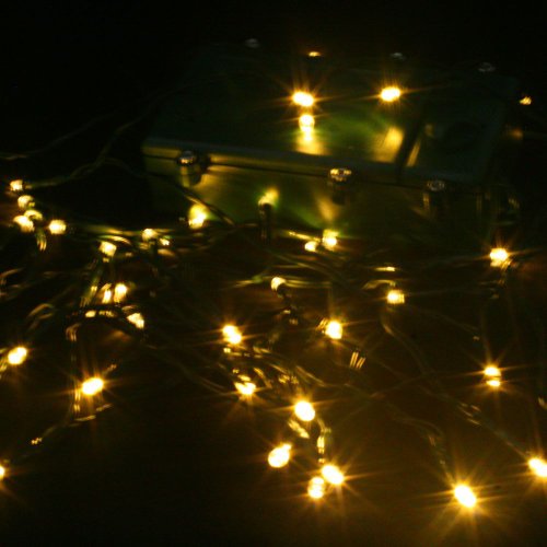 Warm White (soft white) 50 LED Battery Powered 