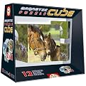 8-Cube Puzzle - Animals