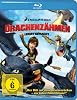Drachenzähmen leicht gemacht (DVD)