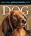 Dog Gallery 2015 Calendar