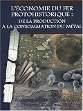 L'�conomie du fer protohistorique : de la production � la consommation du m�tal : 28e colloque de l'AFEAF, Toulouse, 20-23 mai 2004