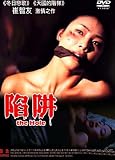 THE HOLE - Korean Movie DVD (Region 3 / R3, HK version) Choi Ji Woo (English subtitled)