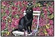 Fiddlers Elbow- ROSE GARDEN DOORMAT